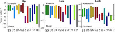 Human Lower Limb Joint Biomechanics in Daily Life Activities: A Literature Based Requirement Analysis for Anthropomorphic Robot Design